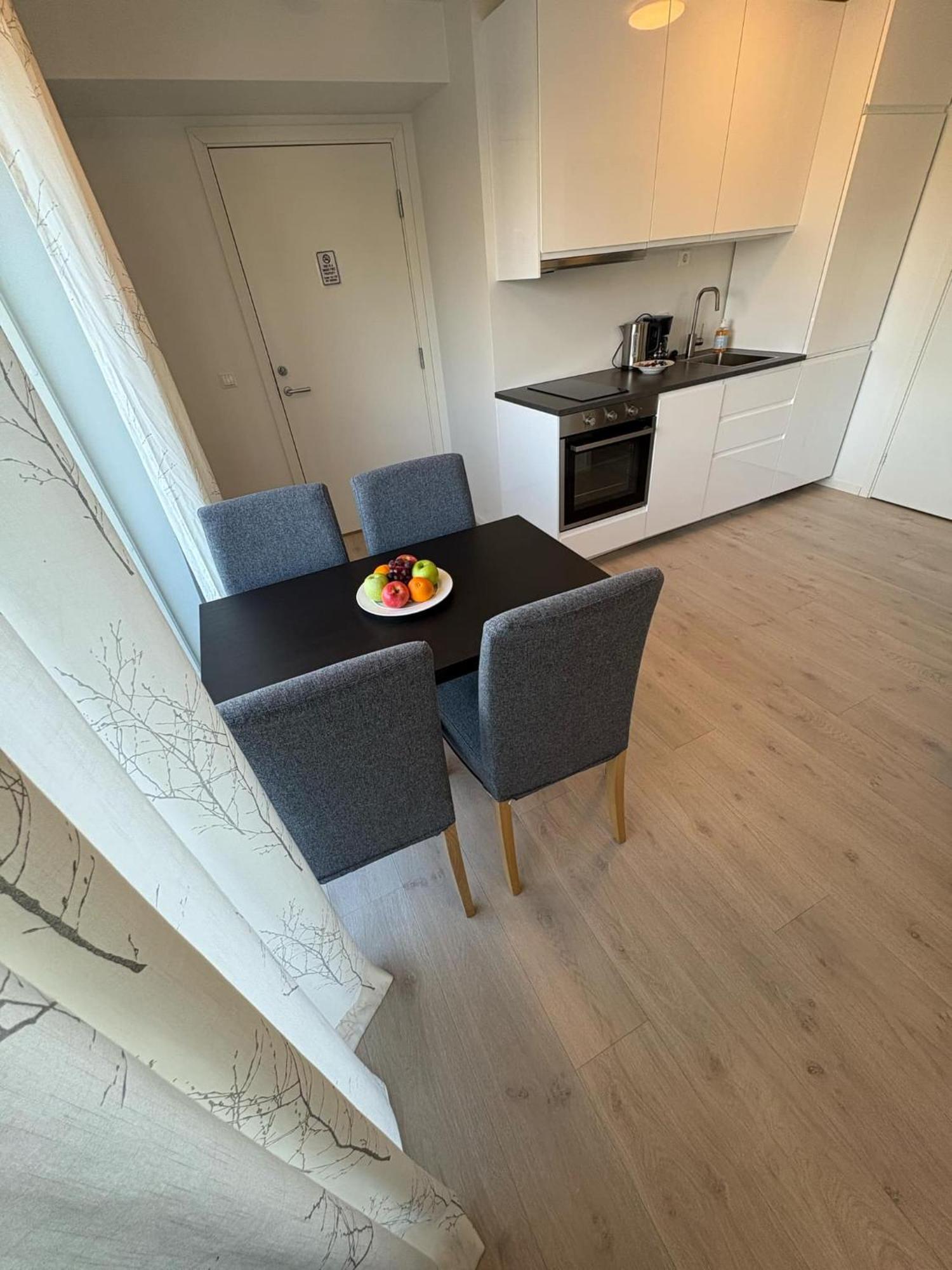 Lisas Apartment, Private New 1 Bedroom And 1 Living Room With Sofa Bed And Big Windows, Share With Nobody 奥斯陆 外观 照片